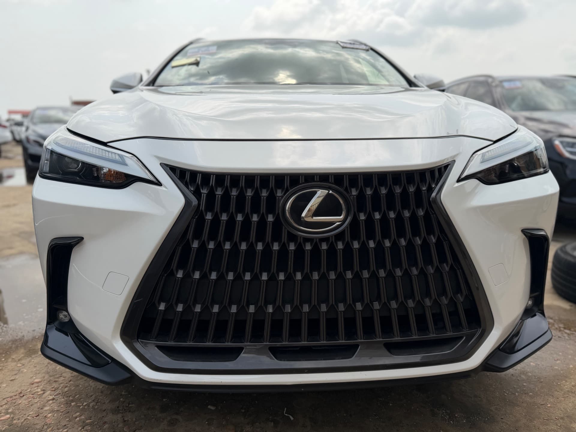 Lexus NX 250 2023